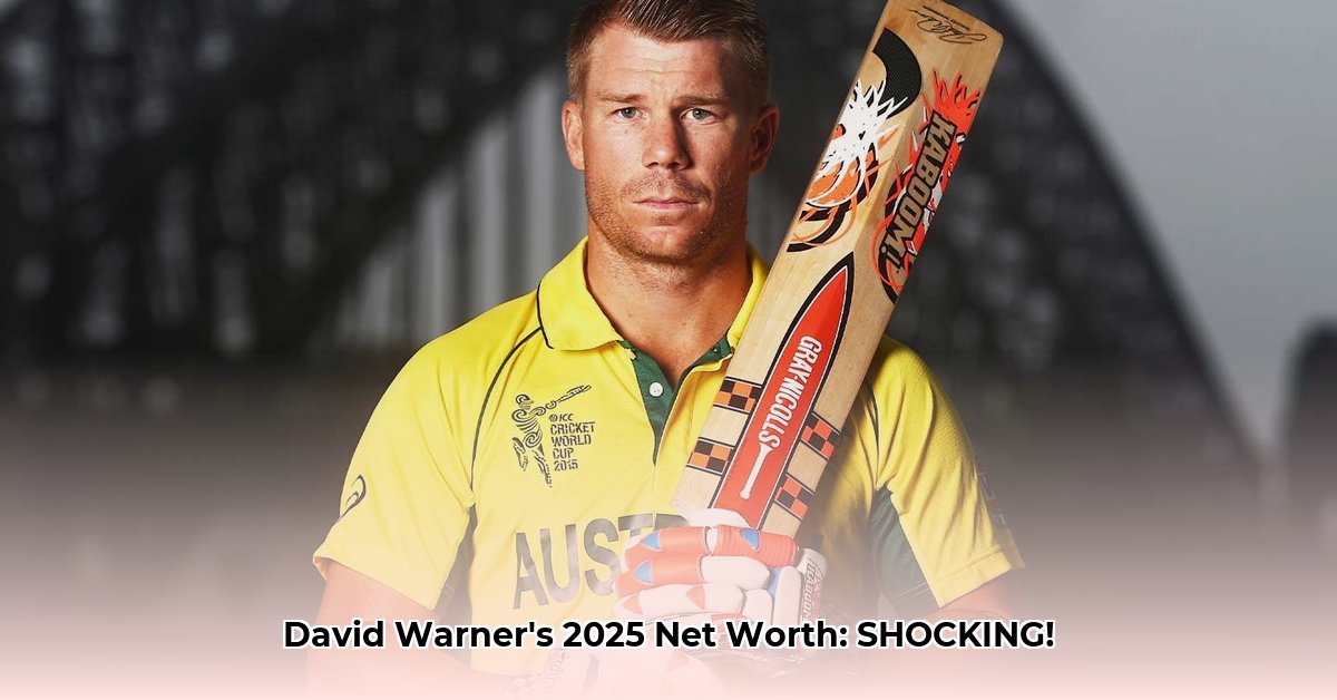 david-warner-net-worth